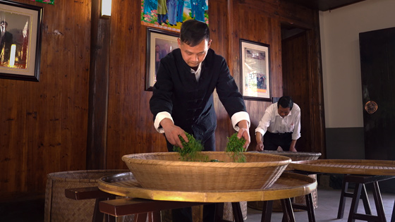 新闻中心 新闻中心